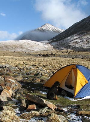 Trek a Alpinismo