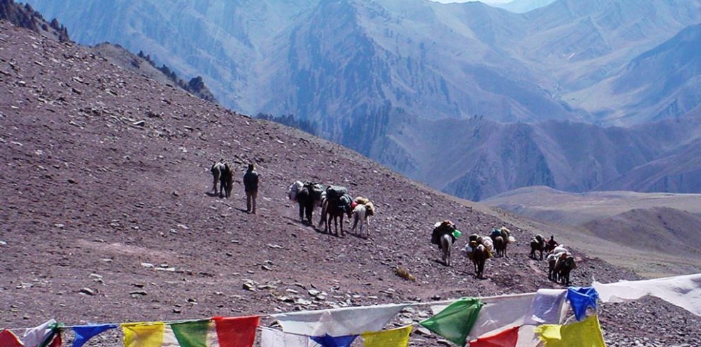 Ladakh_trekking5