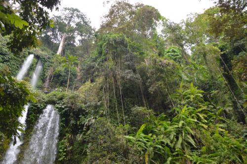 Lombok